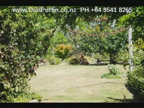 Nelson New Zealand and Nelson New Zealand Info