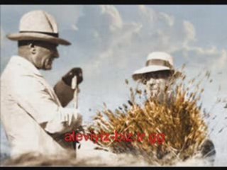 Sarı saçlım mavi gözlüm