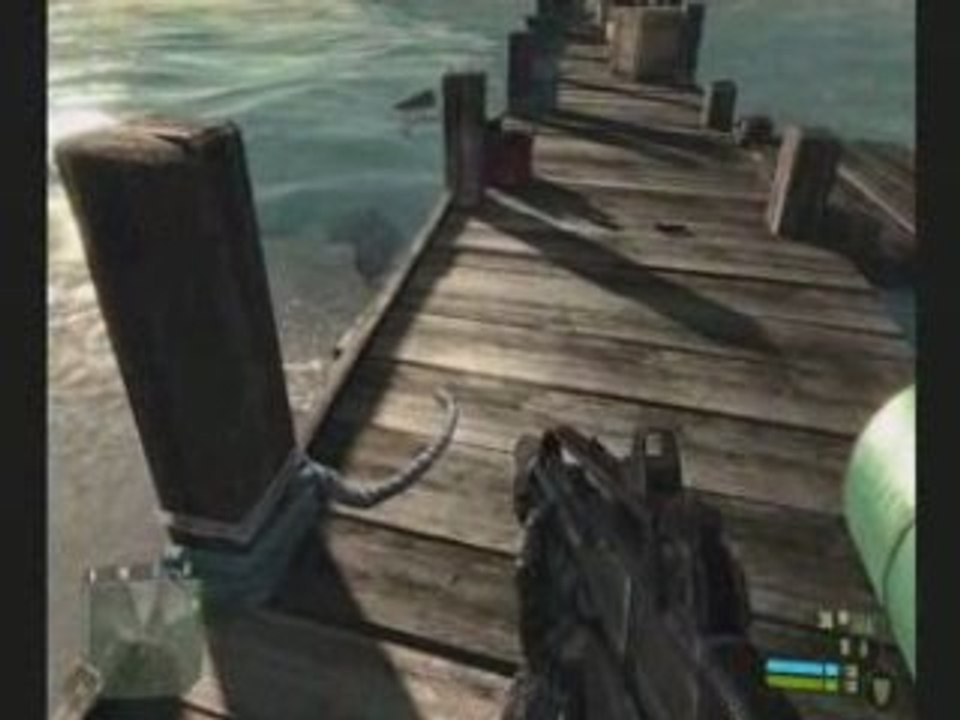 beauté crysis very high 8800 gt fluide