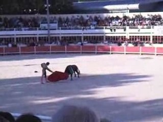 Finale graine de torero2008: St Gilles