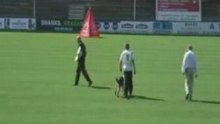 FCI2008-Braunhofer