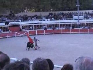 Finale graine de torero 2008 à St Gilles