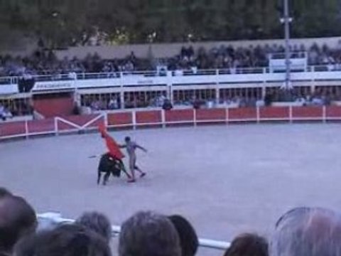 Finale graine de torero 2008 à St Gilles