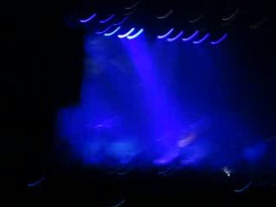 concert Patrice: Dove of peace live