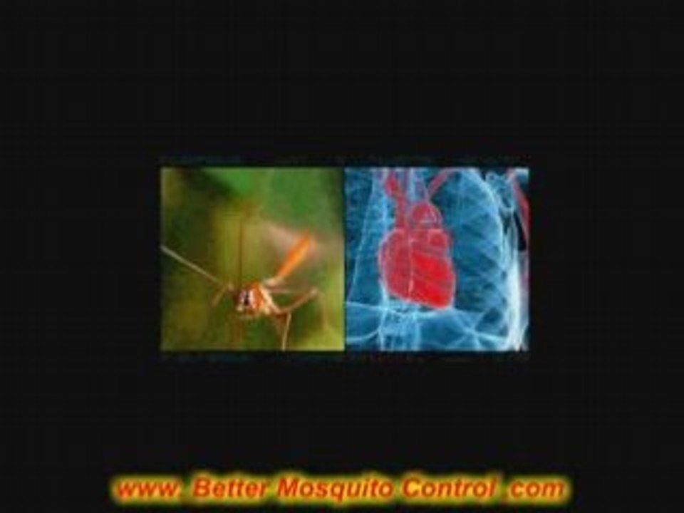 Mosquito Control Device, Kills Mosquitos