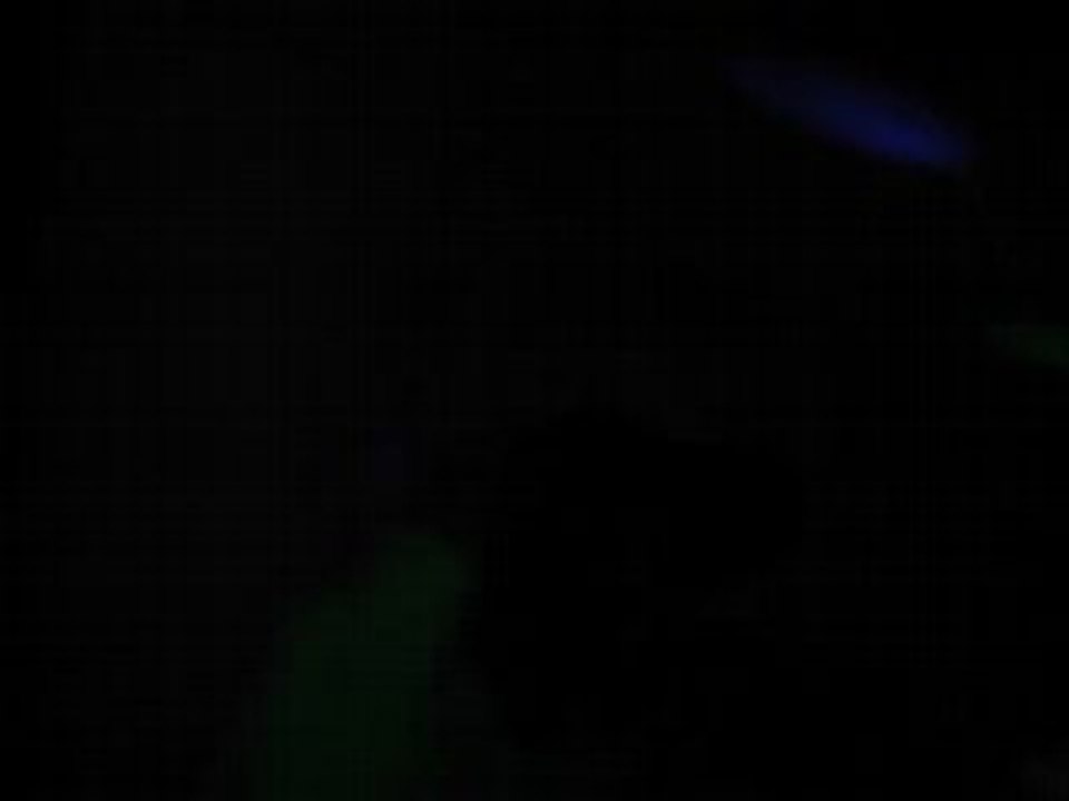 PZK PARTY (SOURIS MOI) !!!! BELGIUM