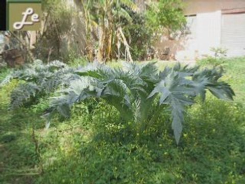 Chant chrétien kabyle Ers-ed