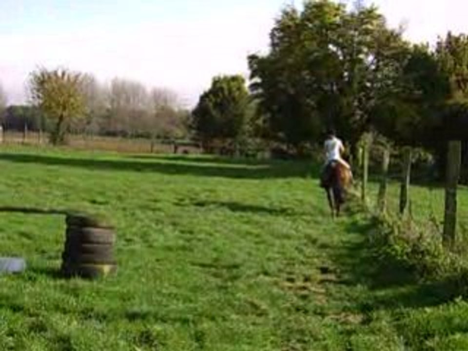 Parcours d' obstacles