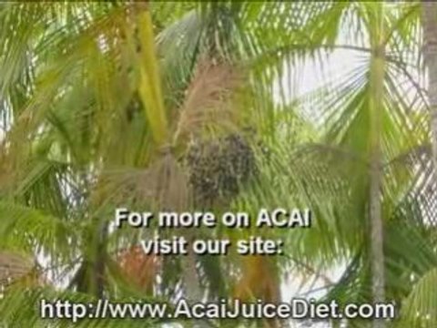 acai juice berry purely juice acai plan for teens