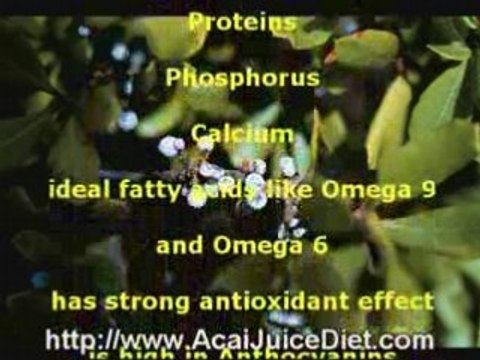 acai juice recipes for weight loss