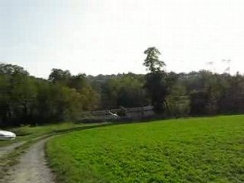 l'attack du zizi glider de steph