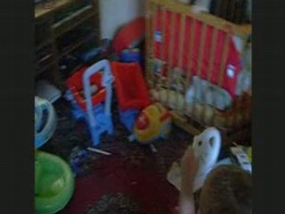 Sébastien joue à Mario Kart Wii