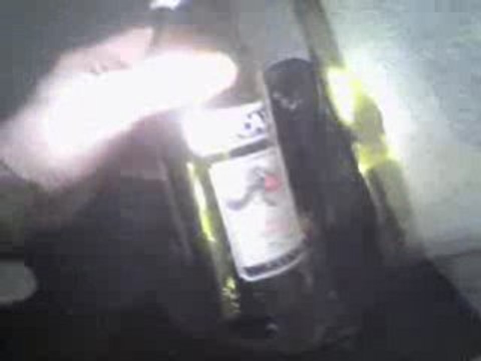 Hommage à Paul Ricard (Center Parc Octobre 2008)