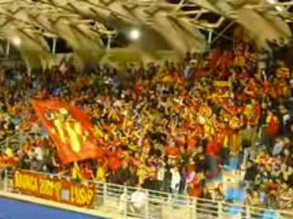 usap trevise