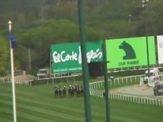 2008 (392) Premio Bang & Olufsen (H) (APPROACH SHOT)