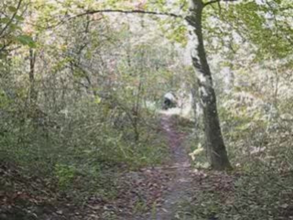 Training Octobre 2008 Quincy