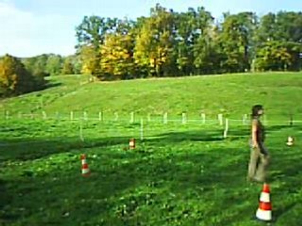 Travail de Sapri' le 12 10 08