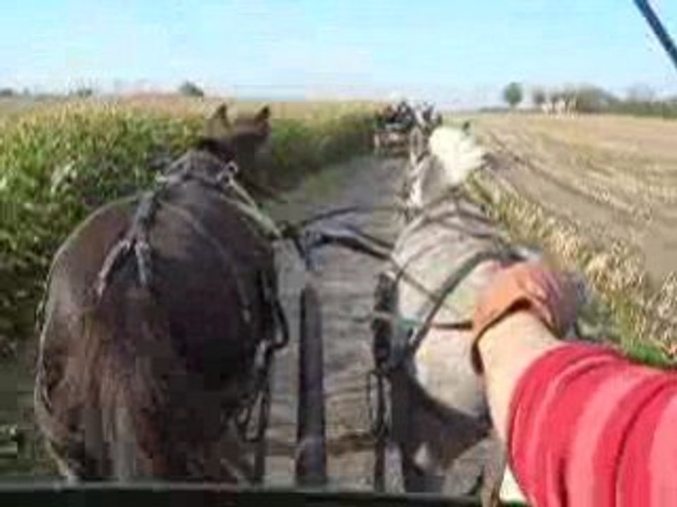 DSCN8788