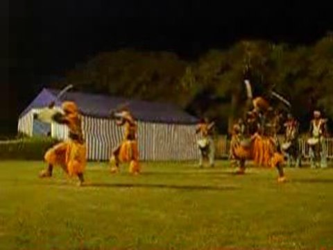 démonstration danse africaine par les ballets d'Afrique