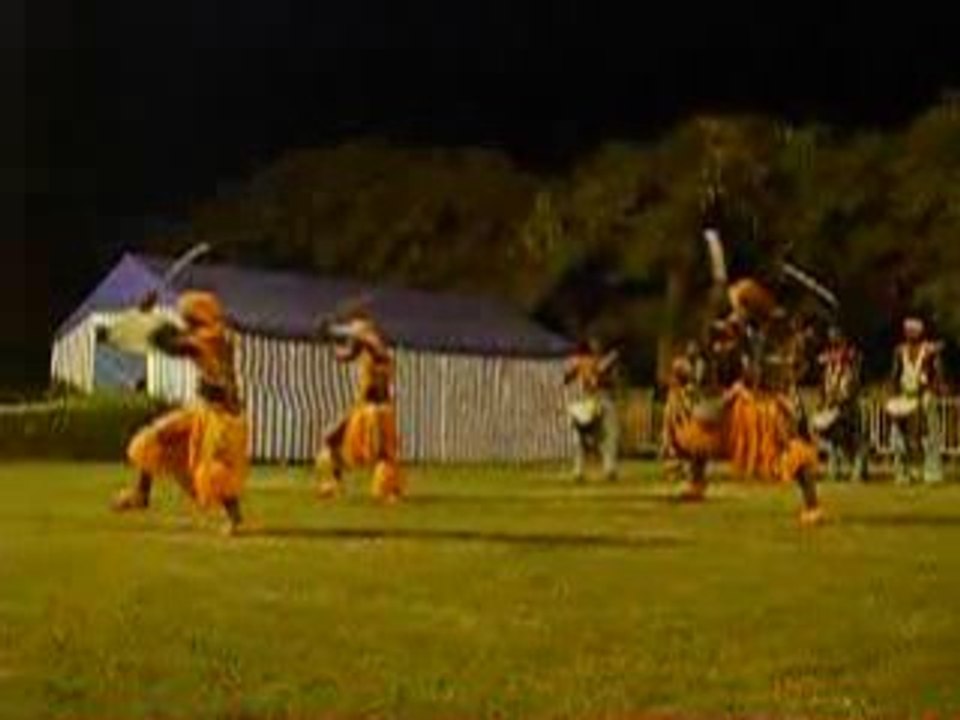 démonstration danse africaine par les ballets d'Afrique