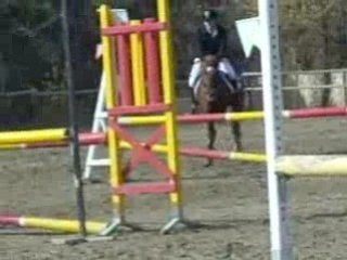 Concour poneyt cso le 12 10 2008 006