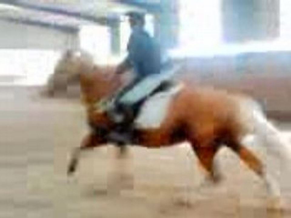 Video_1