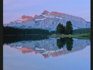 *****BONNE SOIREE********