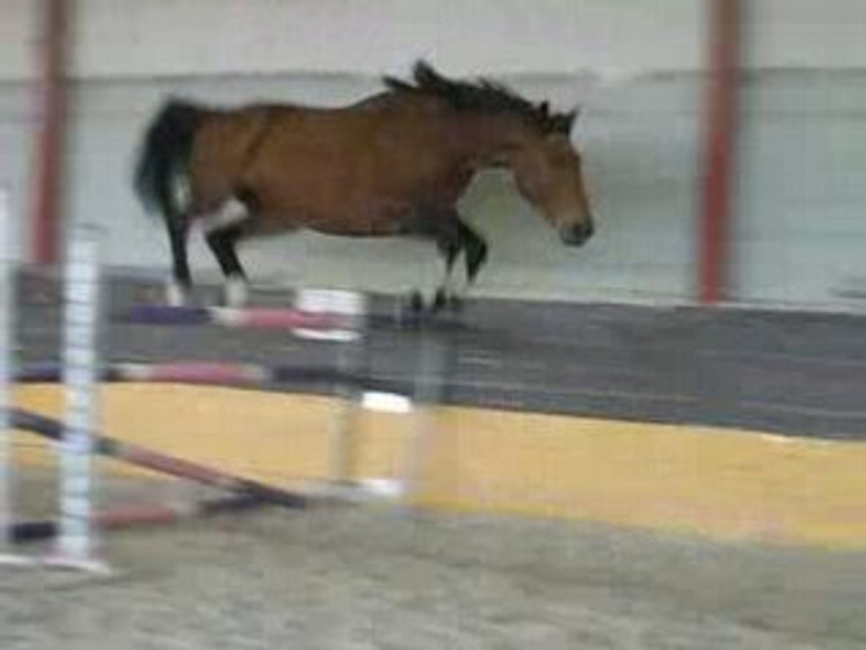 qlass