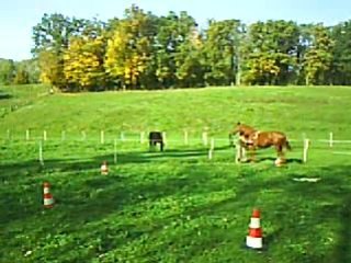 Fryda ds le rond le 12 10 08