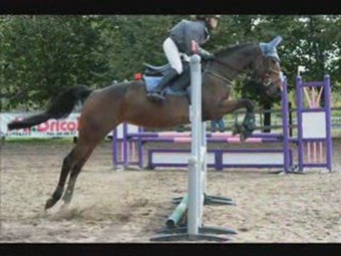 05-10-08 St Georges du Bois concours CSO