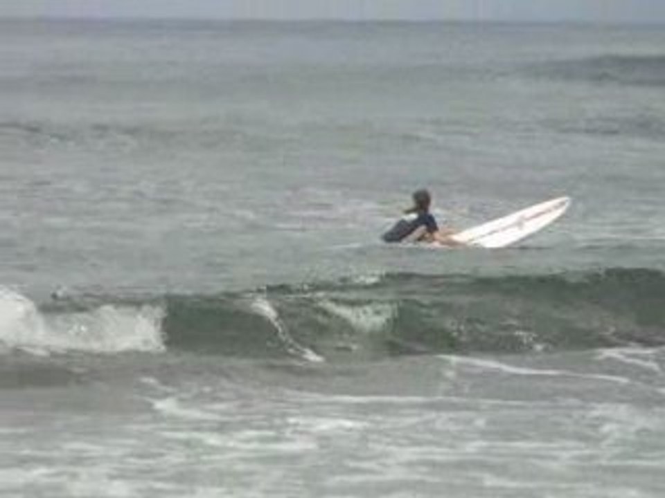 delphine surf