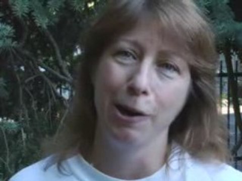 McCain and Palin Attack on Obama, The Truth About Obama