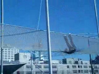 Jodi Trapeze Flip