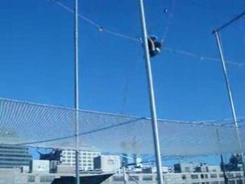Jen Trapeze Flip 2