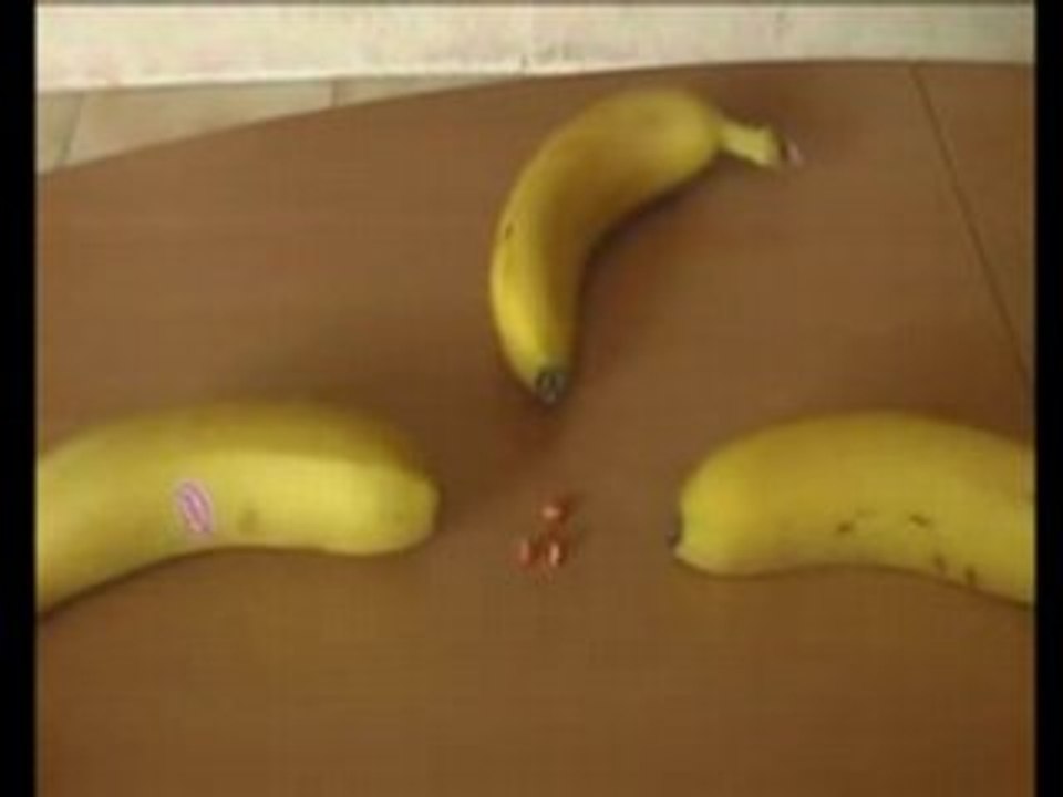 INCROYABLE   les dangers d'une banane