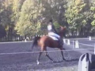 Dres Courneuve: Community and Culture