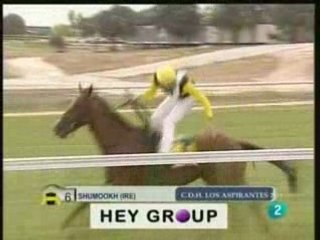 2008.10.12, nº 393 LZ (Hispanidad (A) Shumookh