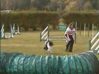 Jumping Aramis 12.10.08