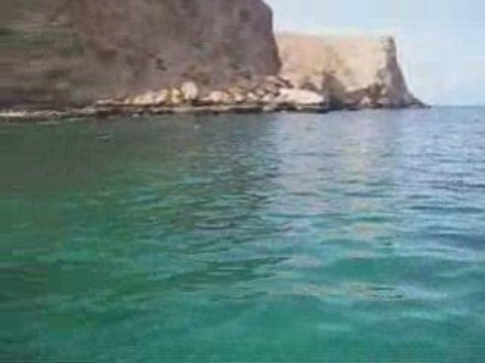 Snorkelling & tourism in Oman - KeysToSuccessClub.com