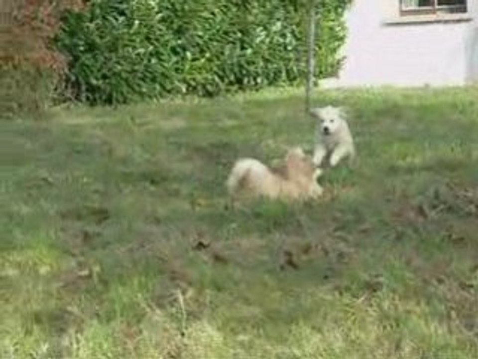 SansTitre_0002