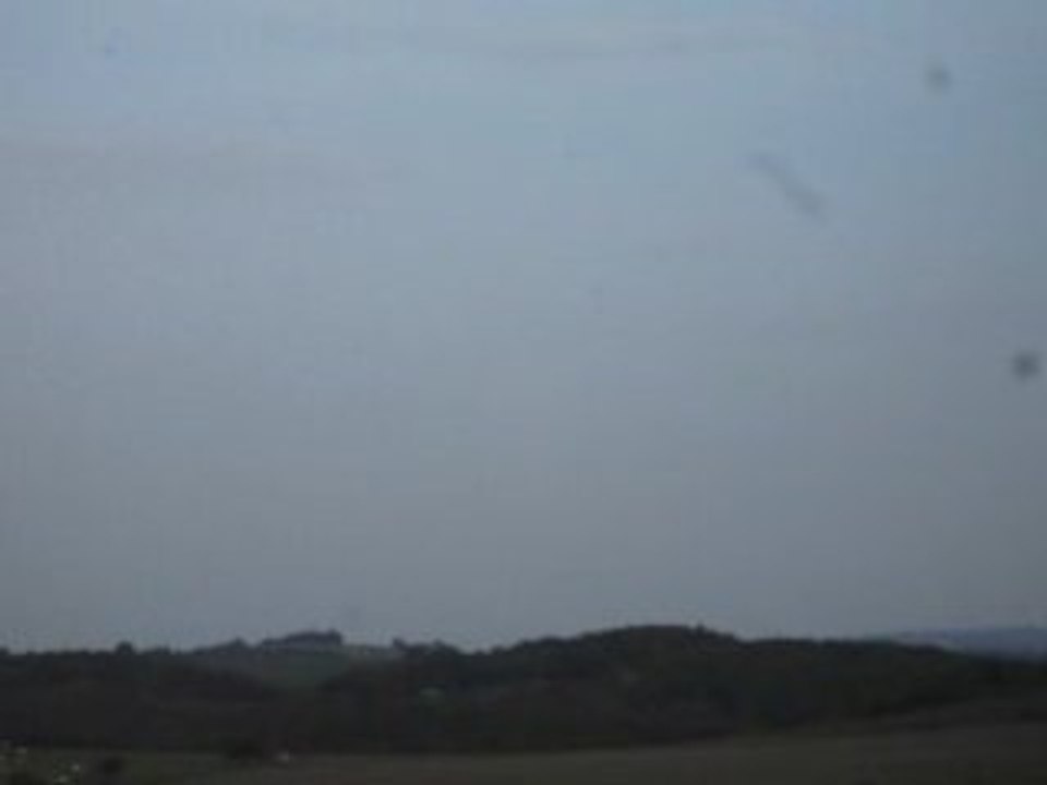 Vidéo des millier de palombes 009