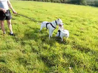 Cyrba et Chunky punky