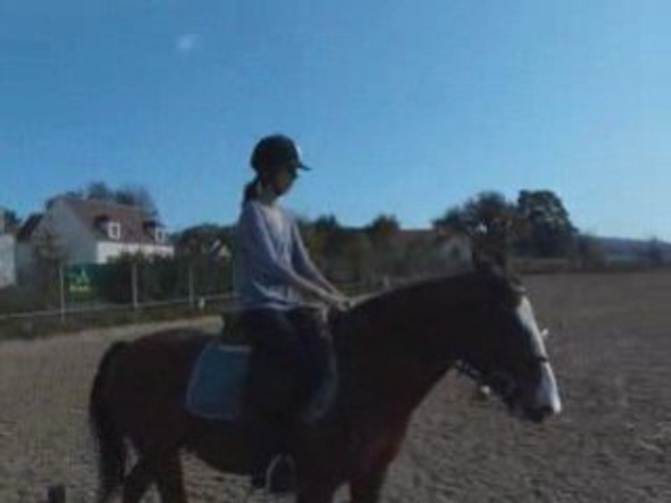 Entrainement dress avec flipp