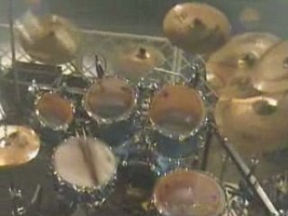 Chat noir 2008 video