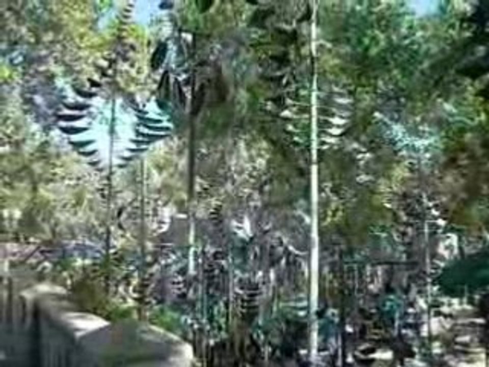 sanpesos a sedona