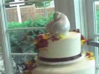 Colorful Fall Linen Themed Wedding