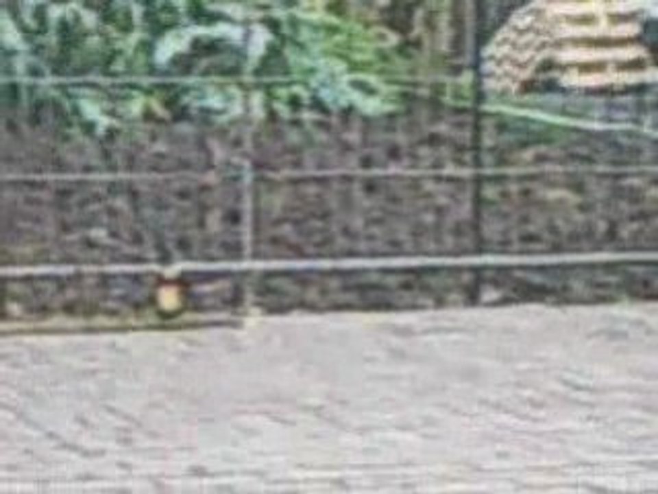 Vidéo0061
