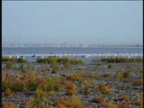 Aiguillon matin octobre 2008