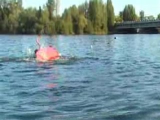 Flat session bordeaux 08