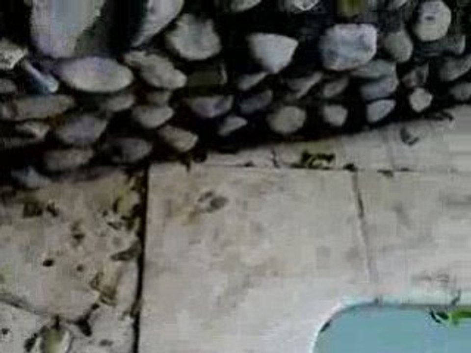 Anniv 2008 22/25 ans !!!